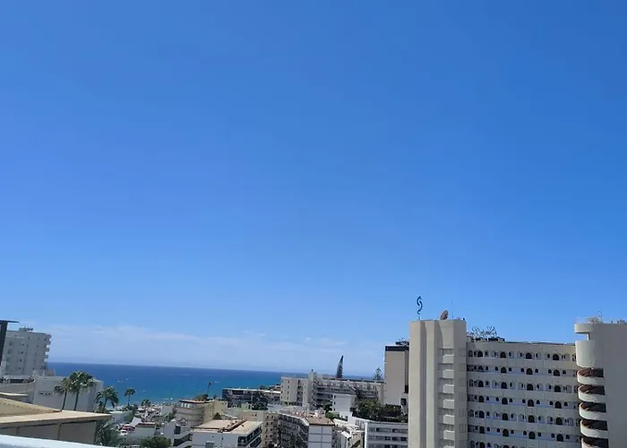 Koka View