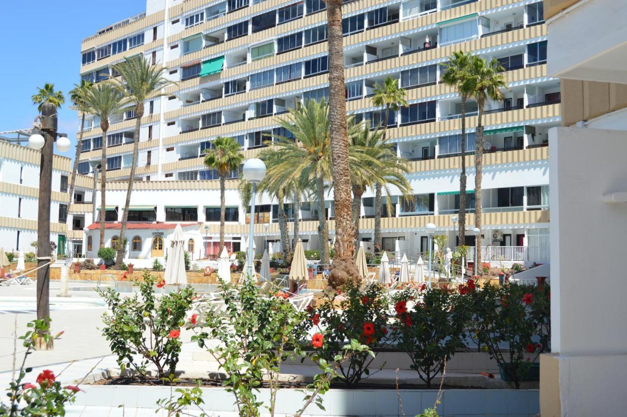 Koka View Apartment